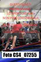 CS4_07255-