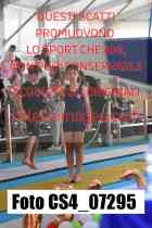 CS4_07295-