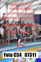 CS4_07311-