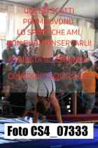 CS4_07333-