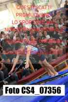 CS4_07356-