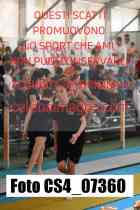 CS4_07360-