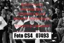 CS4_07493-