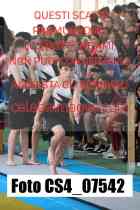 CS4_07542-
