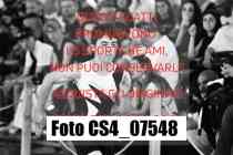 CS4_07548-