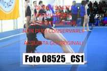 08525_CS1
