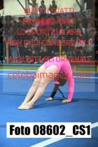 08602_CS1
