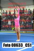 08633_CS1