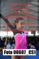 08687_CS1