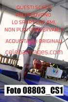 08803_CS1