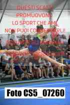 CS5_07260