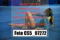 CS5_07272
