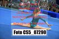 CS5_07290