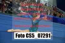 CS5_07291