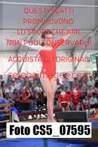 CS5_07595
