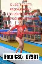 CS5_07901