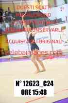 12623_C24