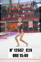 12667_C24