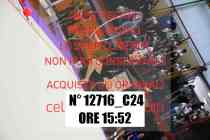 12716_C24