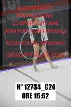 12734_C24