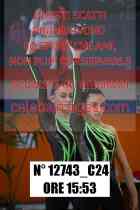 12743_C24