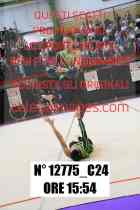 12775_C24
