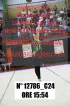 12786_C24