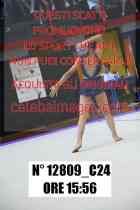 12809_C24