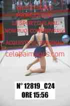 12819_C24