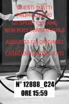 12888_C24