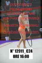 12911_C24
