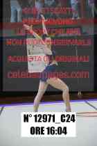 12971_C24
