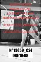 13059_C24