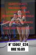 13067_C24