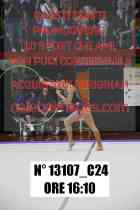 13107_C24