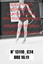 13110_C24