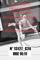 13127_C24