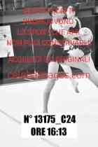 13175_C24