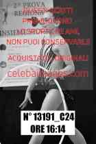 13191_C24