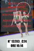 13203_C24