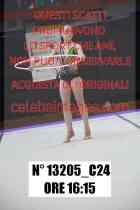 13205_C24