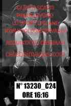 13230_C24