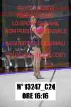 13247_C24