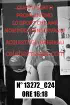 13272_C24