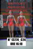 13274_C24