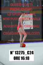 13275_C24
