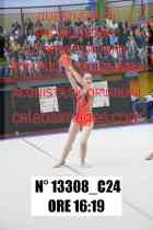 13308_C24