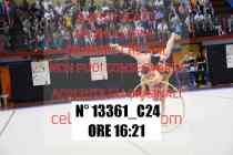 13361_C24