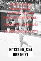13366_C24