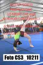 CS3_10211-